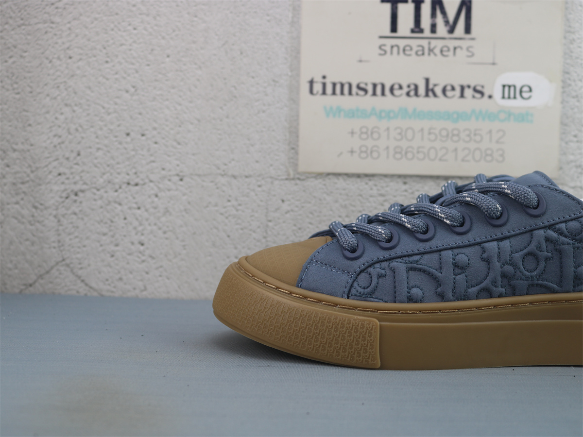 Stone Island X DIOR B33 Skateboard Shoes Men Low-Top Blue